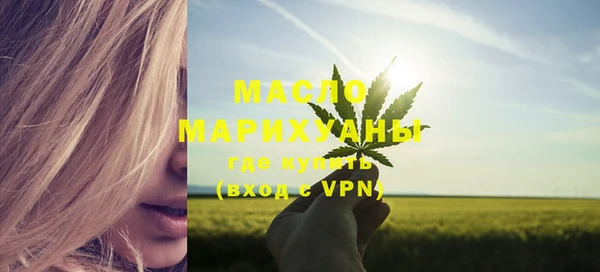 стаф Туринск