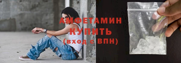 стаф Туринск