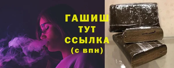 стаф Туринск