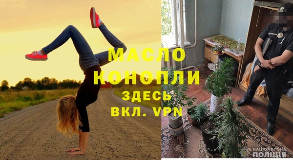 стаф Туринск