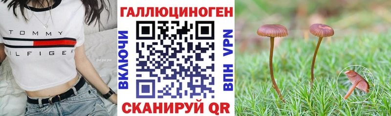 Галлюциногенные грибы GOLDEN TEACHER  купить  сайты  Новое Девяткино 