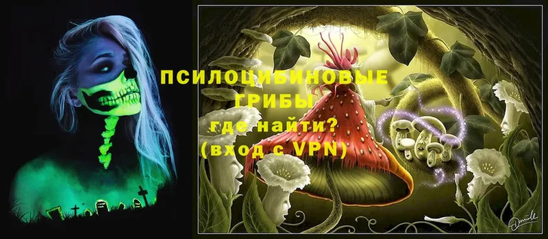 Галлюциногенные грибы MAGIC MUSHROOMS  Новое Девяткино 